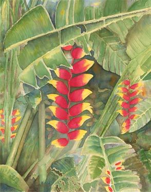 Heliconia Forest