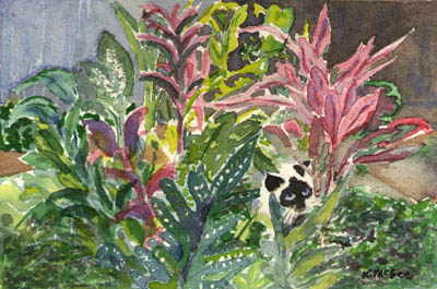 Jungle Cat