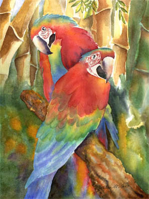 Parrots