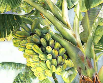 Tropical Dreams watercolor