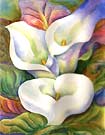 Garden Palette