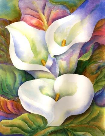 Callas Watercolor 