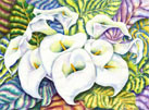Wildflowers:Dune Evening Primrose