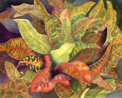 "Croton" A Watercolor by Kathleen McGee