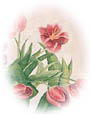 gallery of floral paintings