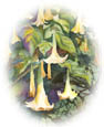 Gallery of New and Recent Artwork