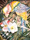 "Parrot & Plumerias" an original water media artwork by Kathleen McGee