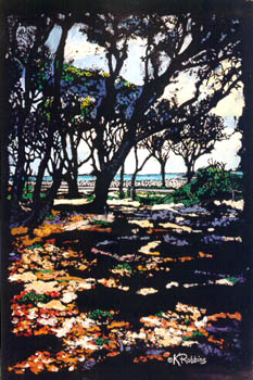 Shadows of Fort Fisher by Kay A. Robbins