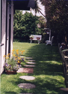 Artist's Garden